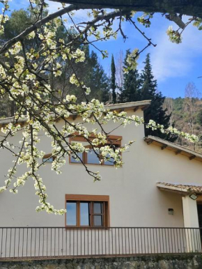 CASA MONTEPINAR, Cazorla